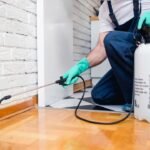 شركة مكافحة الحشرات بالدمام