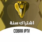 في عالم الترفيه الرقمي اليوم، أصبحت خدمات IPTV من بين الحلول الأكثر شيوعًا لمحبي مشاهدة القنوات التلفزيونية والأفلام والبرامج المتنوعة عبر الإنترنت. تقدم خدمات IPTV إمكانية الوصول إلى مجموعة واسعة من القنوات والمحتويات الترفيهية بسهولة ومرونة، مما يجعلها الخيار الأمثل للعديد من المستخدمين حول العالم. من بين هذه الخدمات، يبرز عرض اشتراك فالكون سنة وهولك سنة كأحد أفضل العروض في السوق، حيث يجمع بين قوة المحتوى العربي المميز وجودة البث العالية. عروض اشتراك فالكون وهولك
