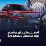 قطع غيار السيارات الصينية